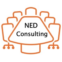 NED Consulting logo - Similar company to Ned Consulting