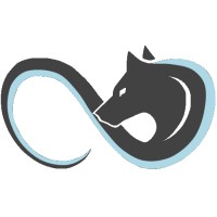 Aeon Wolf logo - Similar company to Oryntek