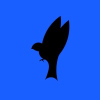 Social Flying