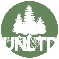 Forrest Unlimited: Linkedin Expertise 🌲