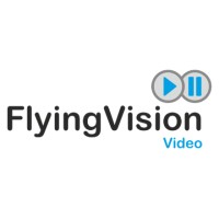 Flying Vision Studio logo - Similar company to Sensa.Io