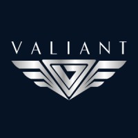 The Valiants Group logo - Similar company to Çindengitsin