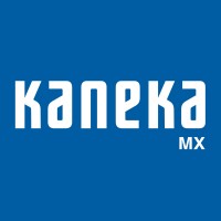Kaneka Kane Ace MX logo - Similar company to Kaneka Modifiers