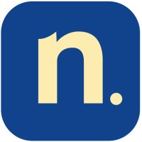 Netacles Digital logo - Similar company to Polo Solutions Projects