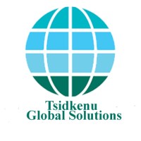 Tsidkenu Global Solutions logo - Similar company to Infoleads Data
