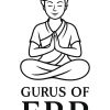 The Gurus of ERP logo - Similar company to Ander Swim