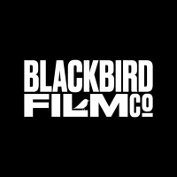 Blackbird Film Co logo - Similar company to Film & Event Solutions Inc. And F&E Communications