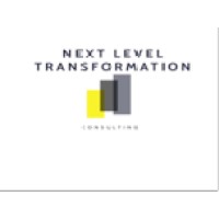 Next Level Transformation Limited logo - Similar company to Portare Solutions