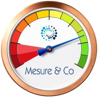 MESURE & CO logo - Similar company to Ims Ingénieries Mesures Services