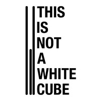 THIS IS NOT A WHITE CUBE logo - Similar company to Echo Cube
