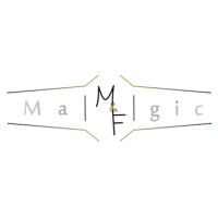 M & F Magic logo - Similar company to Loc.Ka.Engineering E.V.