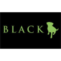 Black Dog Agency