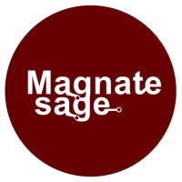 Magnatesage Technologies Pvt. Ltd. logo - Similar company to Rays Outsourcing Business Solution