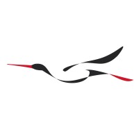 Belarus Prime Tour logo - Similar company to Minsk In Socks