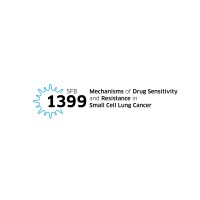 SFB1399 logo - Similar company to Sfb 1403