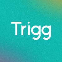 Trigg Brasil logo - Similar company to Digitalsys Tecnologia
