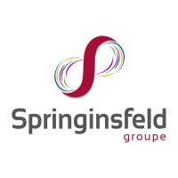 Springinsfeld Groupe logo - Similar company to Institut Coaching Et Accompagnement