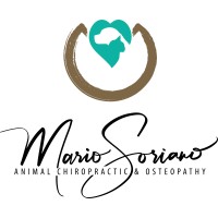 Dr Mario Soriano logo - Similar company to Ekico