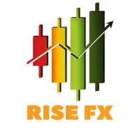 The RiseFx logo - Similar company to Dma Mauritius