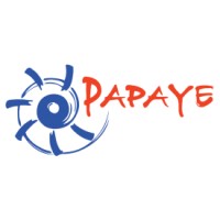 Groupe SAS Papaye logo - Similar company to Solutionsmags