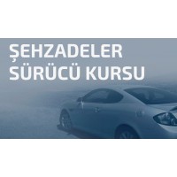 ŞEHZADELER SÜRÜCÜ KURSU logo - Similar company to Sdg Systems