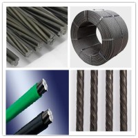 TIANRUI STEEL CO.,LTD logo - Similar company to Pro-Build Contracting