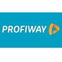 Profiway logo - Similar company to Electronics Support Division