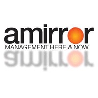 Amirror Group Organizational Development Ltd. logo - Similar company to Nova Plasma Ltd.