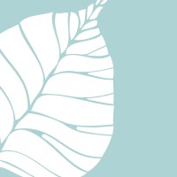 FICUS Landscape Architects logo - Similar company to Kiasma Landscape Studio