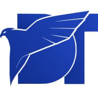 DT SOLUCIONES TECNOLOGICAS logo - Similar company to Servvy