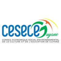 CESECE GUYANE logo - Similar company to Nuage Com