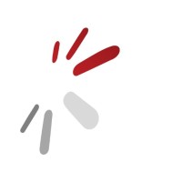 Apynov logo - Similar company to Alpaca Visual