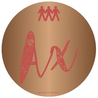 Anix Inventive Private Limited logo - Similar company to Netberry Technologies