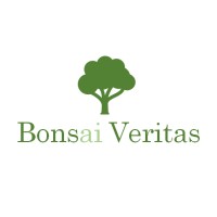 Bonsai Veritas logo - Similar company to Psaizi