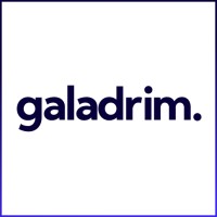 Galadrim logo - Similar company to Netdevices