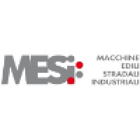 MESI s.r.l. logo - Similar company to Autovip