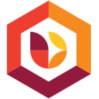 Digital Protection Services SRL logo - Similar company to Dcp - Digital Content Protection