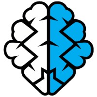 DhiSoftTech logo - Similar company to Crossfield Digital