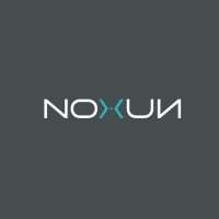 NOXUN logo - Similar company to Pearson & Pearson Llc