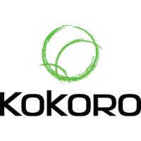 Kokoro Marketing logo - Similar company to Sjp Network Solutions It Support