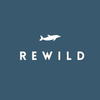 Rewild Swimwear Ltd logo - Similar company to Folk