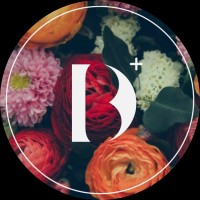 DB Design+ logo - Similar company to Ktg Design