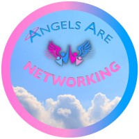 Angels Are Networking, LLC. logo - Similar company to Operation Co-Pilot