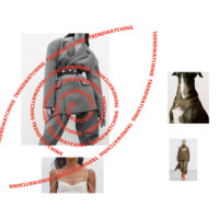 Olga Shevtsova. Personal stylist & Image maker logo - Similar company to Doctor Tom