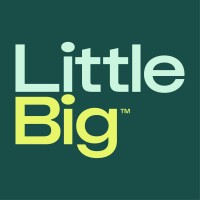 LittleBig logo - Similar company to Wire Wallet