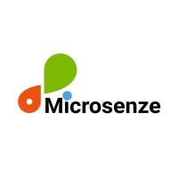 Microsenze Dynamics Pvt. Ltd. logo - Similar company to Codinghub360