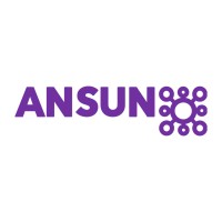 Ansun Group logo - Similar company to Future Opportunities