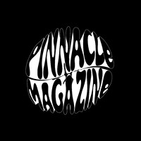 PINNACLE Magazine logo - Similar company to Pinnacle Magazine