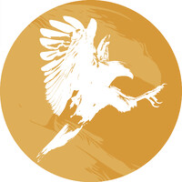 WarBird Pro logo - Similar company to Intelalytic