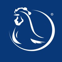 Avicultura Blog logo - Similar company to Bovine.Work